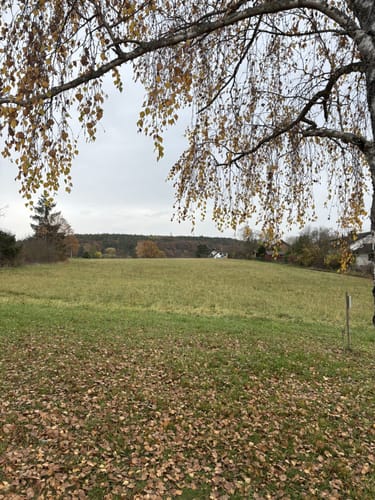 Jubiläumsweg Gundelsheim