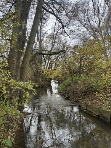 Jubiläumsweg Gundelsheim