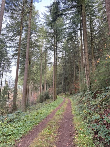 Prüm und Umgebung (Prüm 1)
