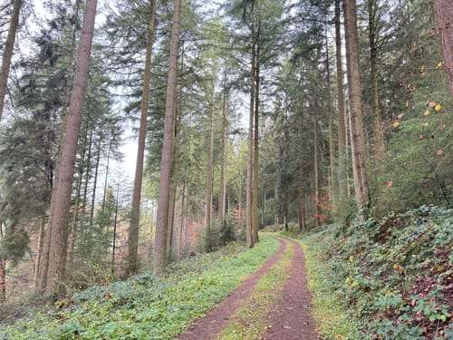 Prüm und Umgebung (Prüm 1)