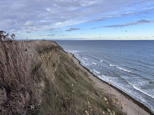 Küstenwanderung Boltenhagen