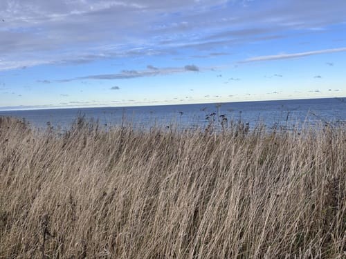 Küstenwanderung Boltenhagen
