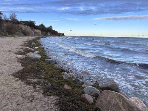 Küstenwanderung Boltenhagen