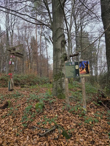 Auf fremden Pfaden/Karl-May-Wanderweg-Sulzbacher Schleife