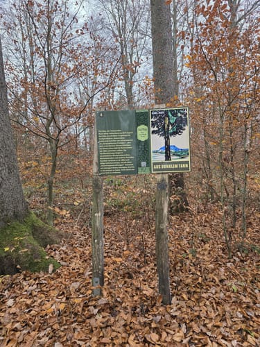 Auf fremden Pfaden/Karl-May-Wanderweg-Sulzbacher Schleife
