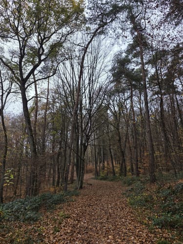 Auf fremden Pfaden/Karl-May-Wanderweg-Sulzbacher Schleife