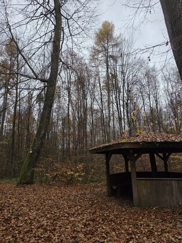 Auf fremden Pfaden/Karl-May-Wanderweg-Sulzbacher Schleife