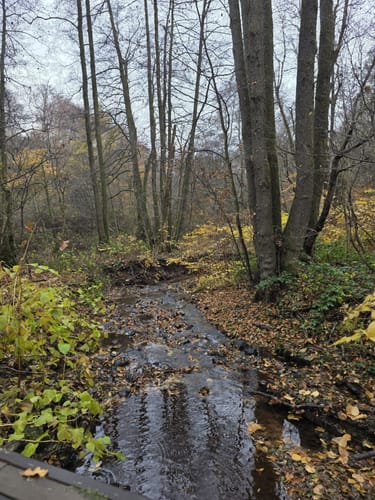 Auf fremden Pfaden/Karl-May-Wanderweg-Sulzbacher Schleife