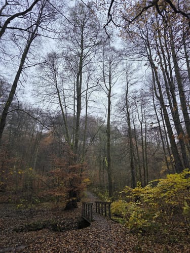 Auf fremden Pfaden/Karl-May-Wanderweg-Sulzbacher Schleife