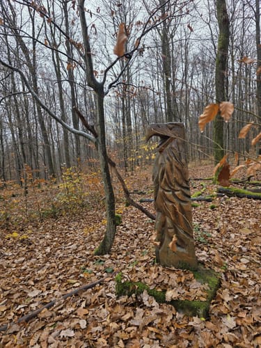 Auf fremden Pfaden/Karl-May-Wanderweg-Sulzbacher Schleife