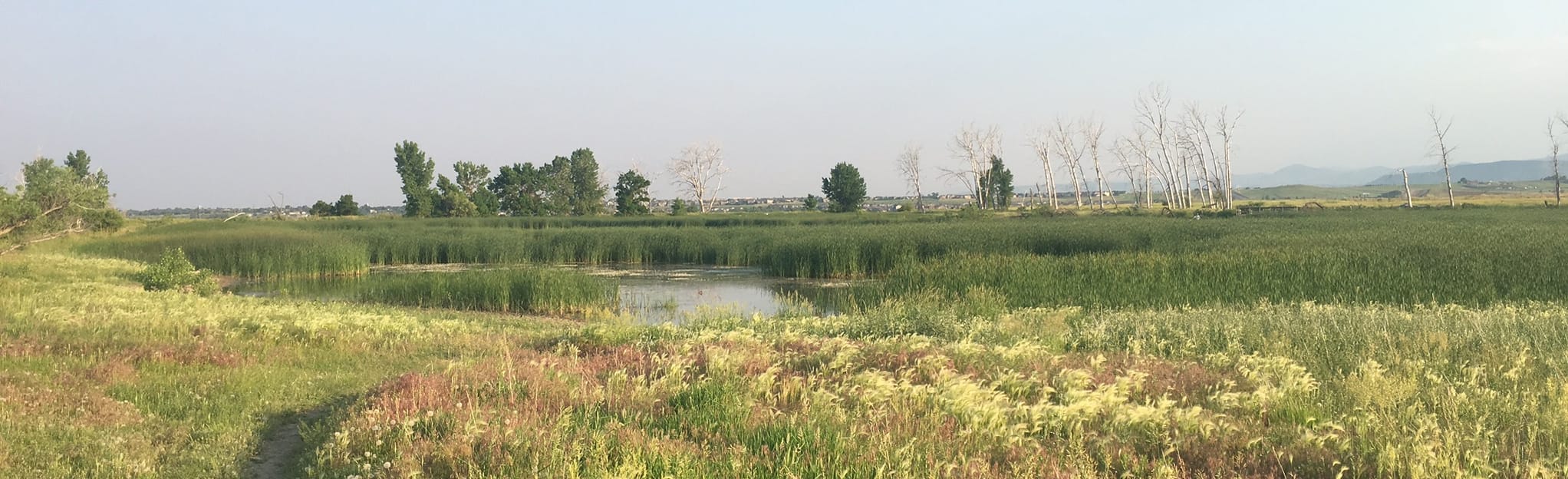 Mower Reservoir via Westminster Hill Trail 272 Reviews, Map Colorado AllTrails