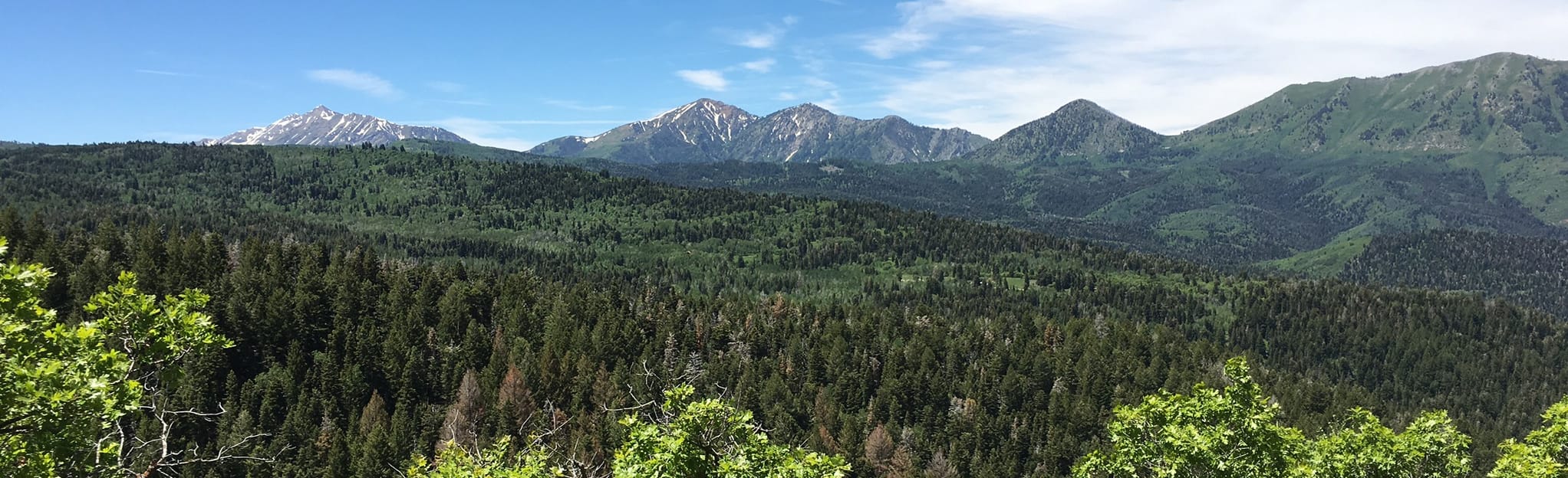 AllTrails Loafer Mountain and Santaquin Peak Trail 255 Reviews, Map