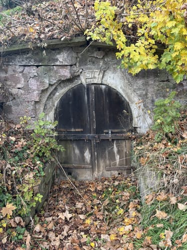 Ruine Nagold