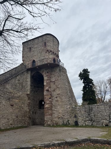Ruine Nagold