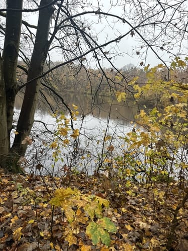 Bedburg Hau: Rund um Schloss Moyland (A4)