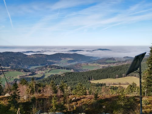 Käsplatte ab Ahornwies