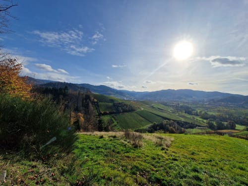 Oberachern zum Achtelblick