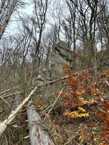 Via Celtica (Premiumwanderweg:)