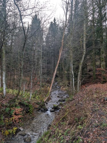 Silbach - Meisterstein - Langenberg