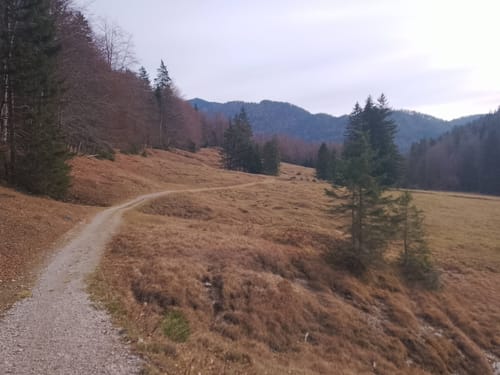 Weitsee - Sotteralm - Entfelden