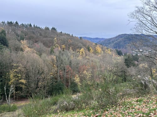Wildgehege-Rundweg