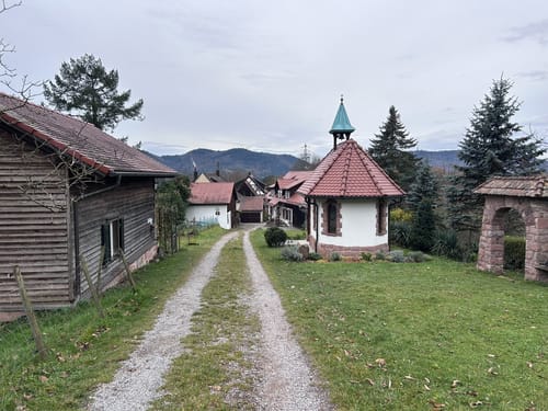 Wildgehege-Rundweg