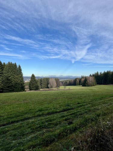 Schwarzenberg - Hohe Henne