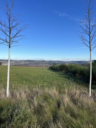 Schwarzenberg - Hohe Henne