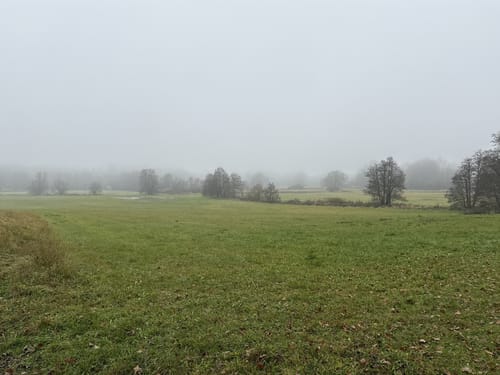 Pegnitzauen