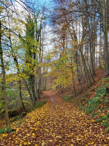 Dieksee Rundweg