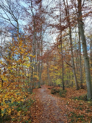 Dieksee Rundweg