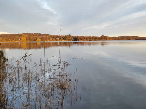 Dieksee Rundweg