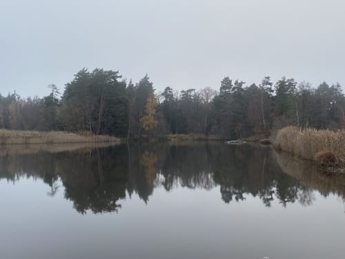 Rund um die Tirschenreuther Teiche