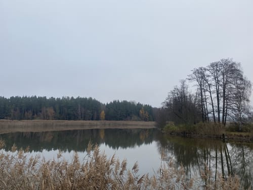 Rund um die Tirschenreuther Teiche