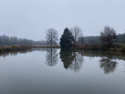 Rund um die Tirschenreuther Teiche