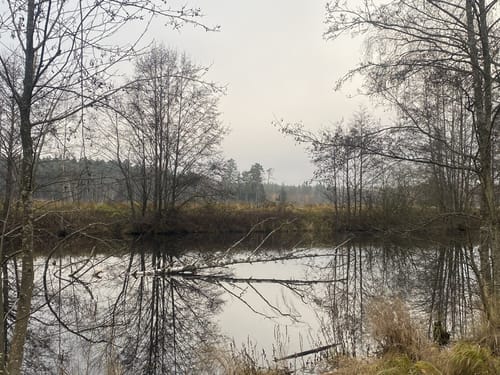 Rund um die Tirschenreuther Teiche