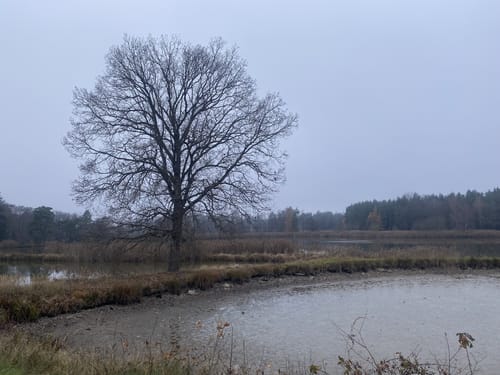 Rund um die Tirschenreuther Teiche