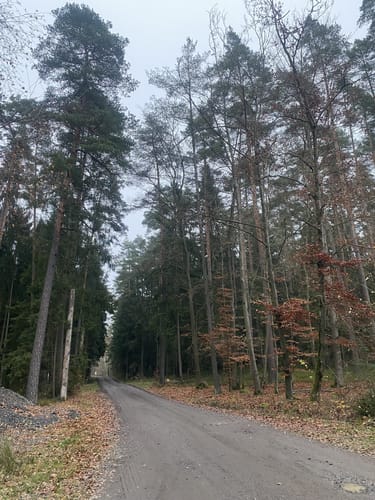 Rund um die Tirschenreuther Teiche