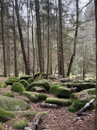Rund um den Leuchtenberg