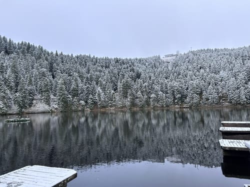 Kunstpfad am Mummelsee