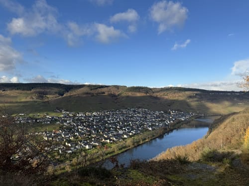 Trarbach - Graacher Schäferei - Koppelberg