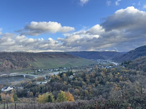 Trarbach - Graacher Schäferei - Koppelberg