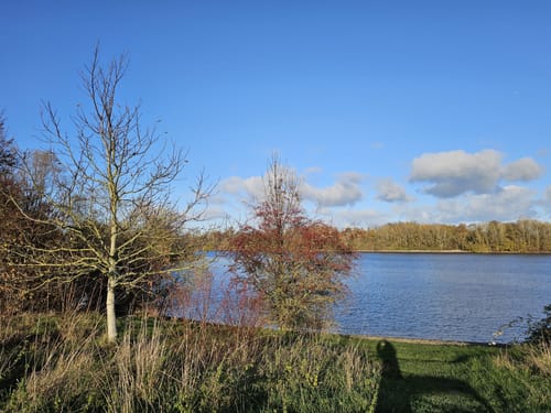 Rund um den Auesee