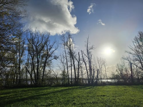 Rund um den Auesee