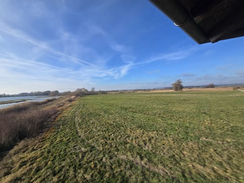 Durchs Gundelfinger Moos
