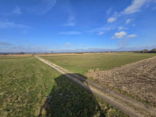 Durchs Gundelfinger Moos