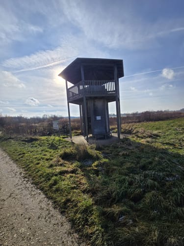 Durchs Gundelfinger Moos