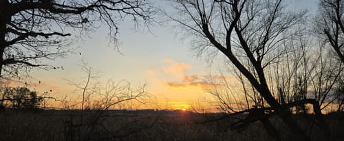 Amper zwischen Moosburg und Inkofen