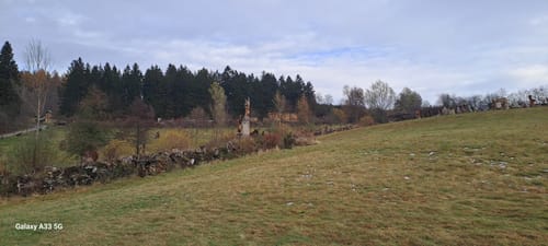 Ein Besuch beim Sauensäger in Blockhausen