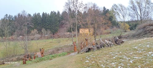 Ein Besuch beim Sauensäger in Blockhausen